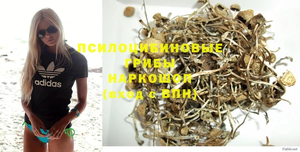 гашик Балахна