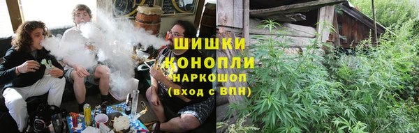 гашик Балахна