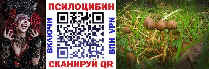 купить наркотик  Волгореченск  Галлюциногенные грибы Magic Shrooms 