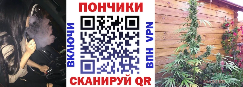 Конопля OG Kush  Волгореченск 